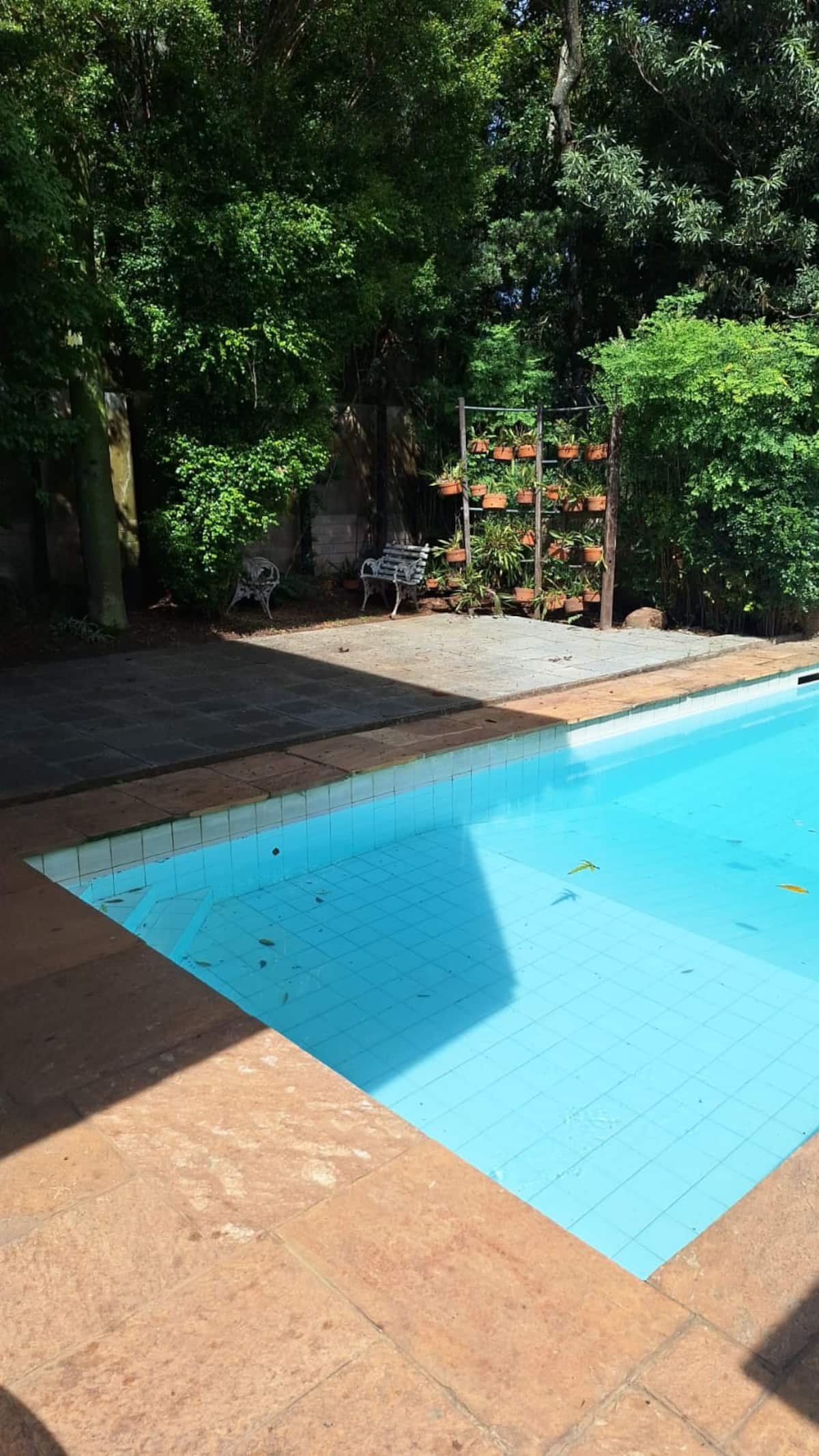 Piscina com deck ao lado do jardim